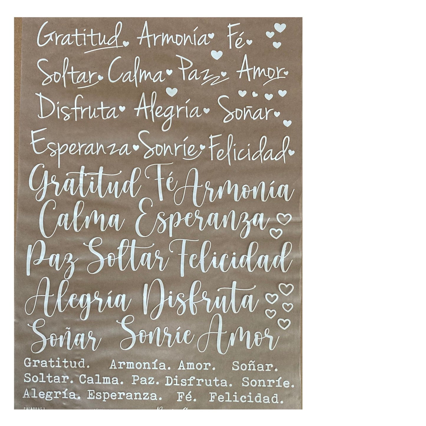 Folex Transfer Romina Guerra