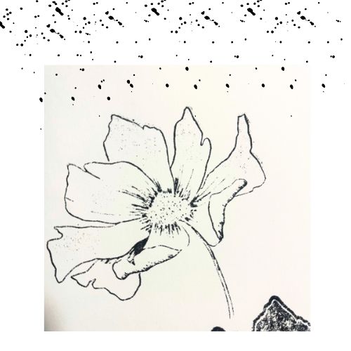 Sellos florales Kolett Art.