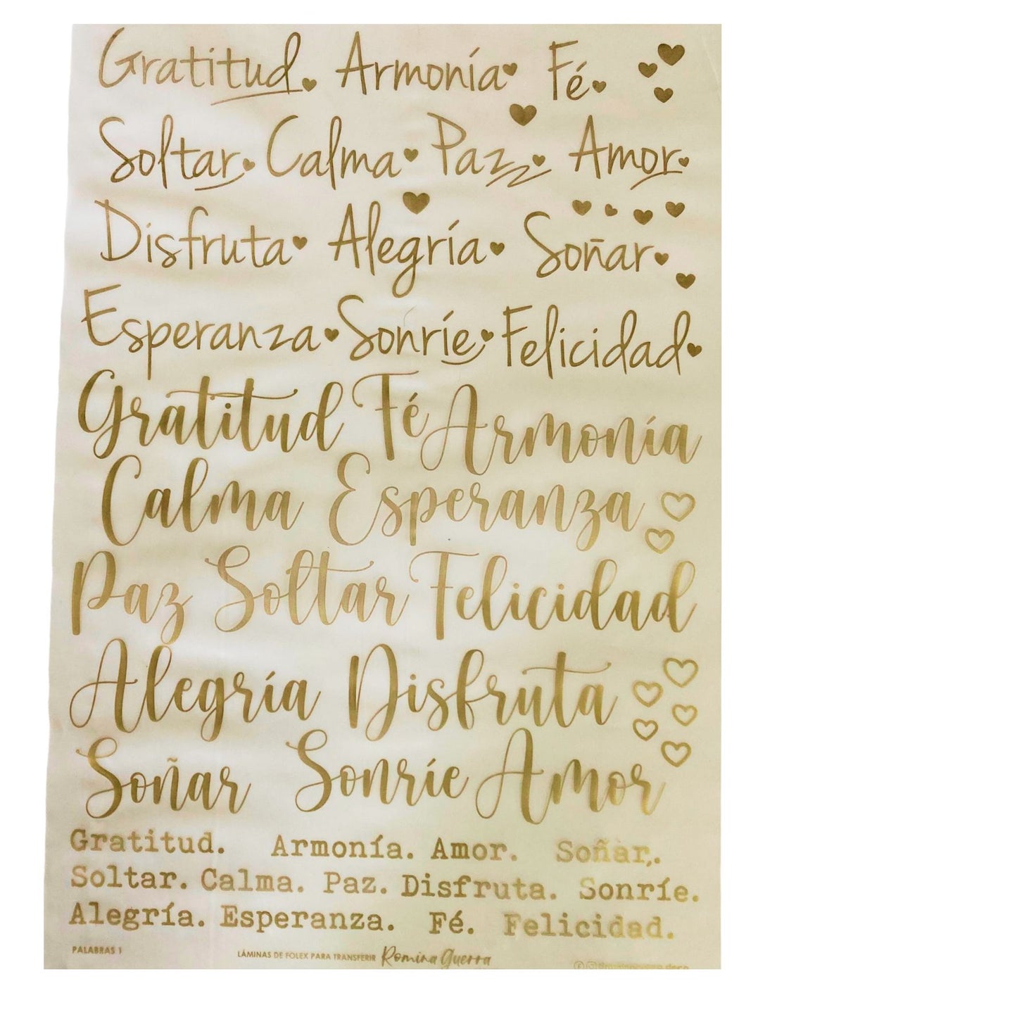 Folex Transfer Romina Guerra