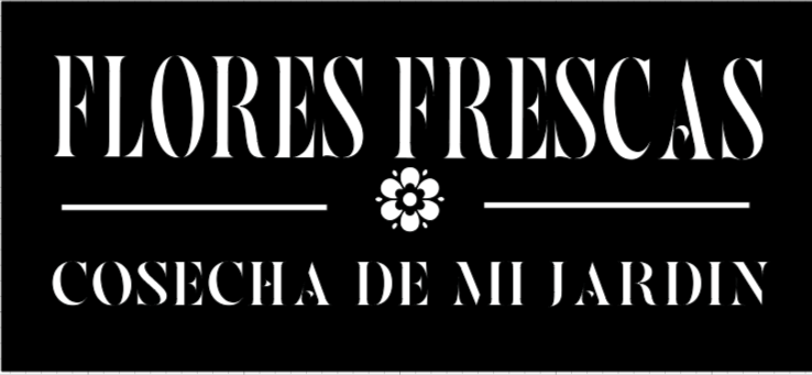Carteles 307
