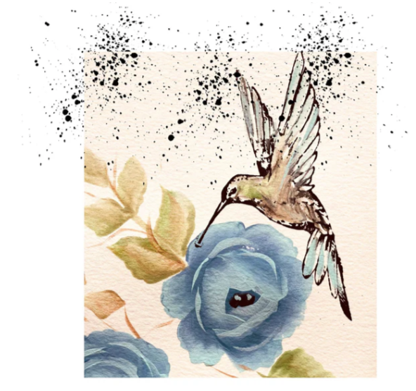 Colibrí