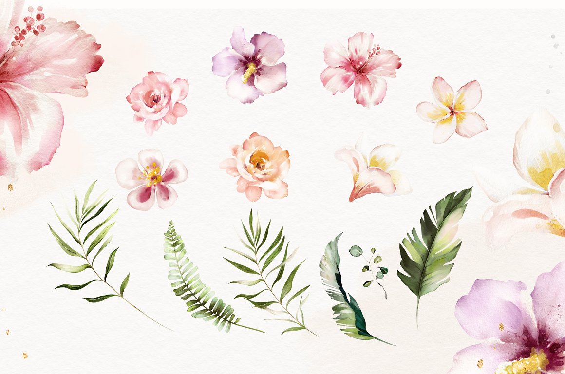 Láminas Sublimación Botánicas (Tamaño A5 10cm x 15cm)