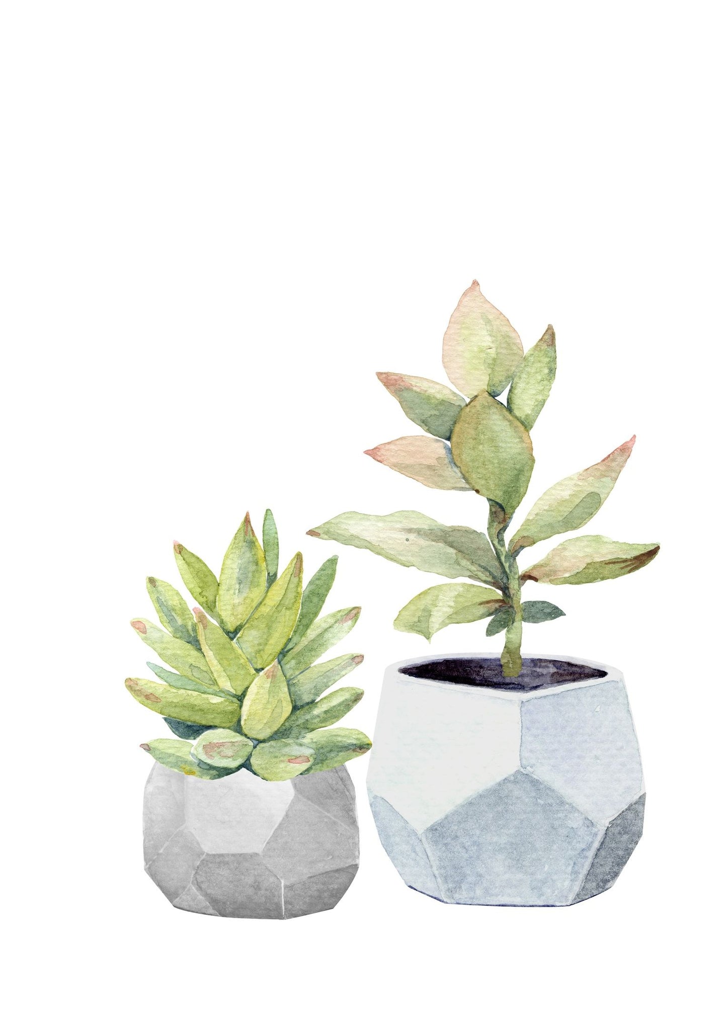 Láminas Sublimación Botánicas (Tamaño A5 10cm x 15cm)