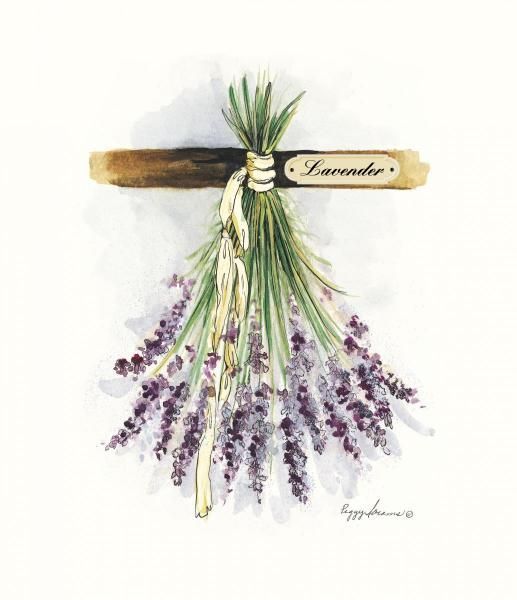 Láminas Sublimación Botánicas (Tamaño A5 10cm x 15cm)
