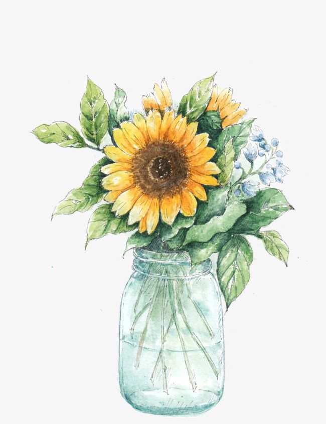 Láminas Sublimación Botánicas (Tamaño A5 10cm x 15cm)