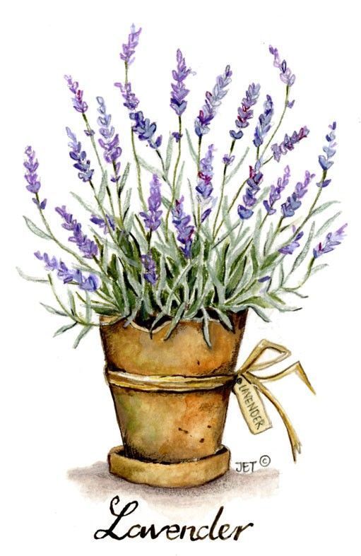 Láminas Sublimación Botánicas (Tamaño A5 10cm x 15cm)