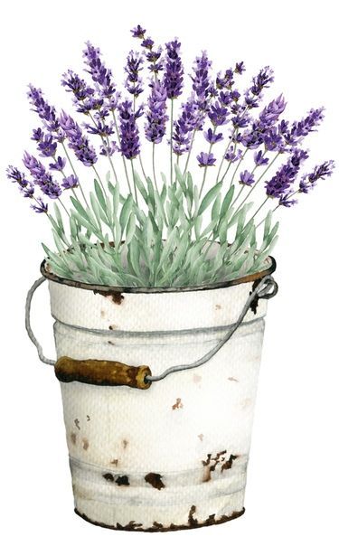 Láminas Sublimación Botánicas (Tamaño A5 10cm x 15cm)