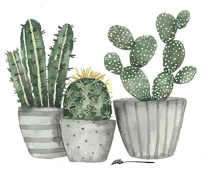 Láminas Sublimación Botánicas  (Tamaño A5 10cm x 15cm)