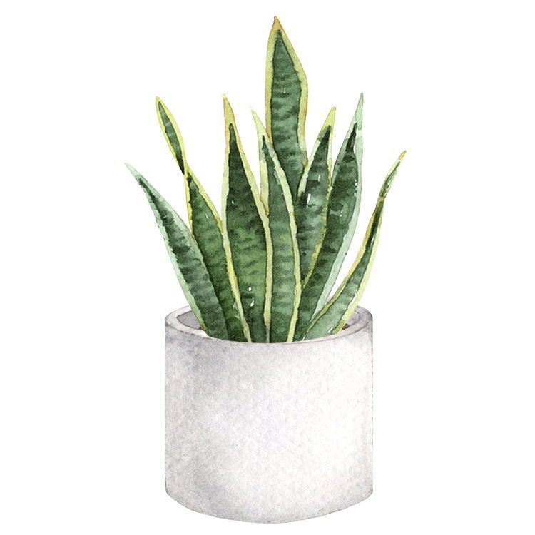 Láminas Sublimación Botánicas  (Tamaño A5 10cm x 15cm)