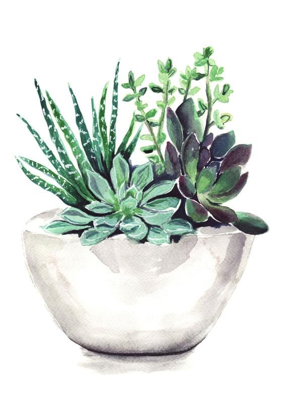 Láminas Sublimación Botánicas  (Tamaño A5 10cm x 15cm)