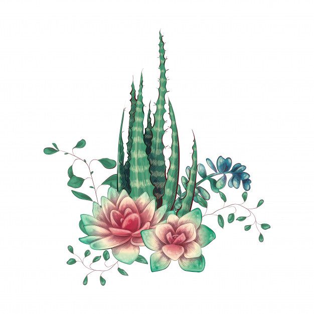 Láminas Sublimación Botánicas  (Tamaño A5 10cm x 15cm)